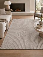 Japandi Vloerkleed - HELIX 2201 SILVER