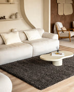 Tapis Shaggy - Mistral Anthracite